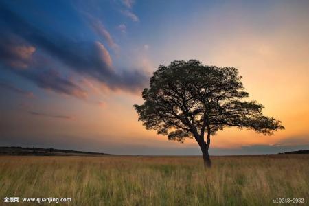 һ980!֣ݾһСթƭŻ