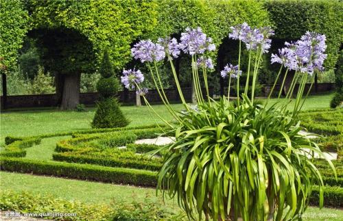 鲿1.97ԪοѵԱϵԱϸɲ