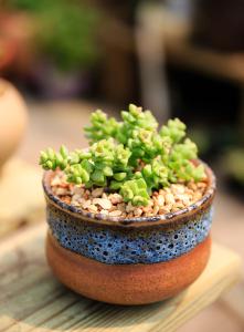 ձһ뾳߸ȾϷǳֵı¹ڲ